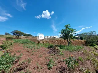 Vista de um campo seco com vegetação no horizonte sob um céu azul.