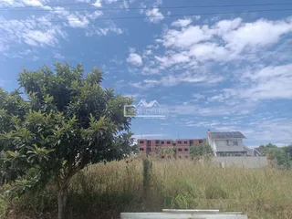 Vista externa de uma propriedade com vegetação densa em primeiro plano.