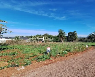 Terreno, foto 2