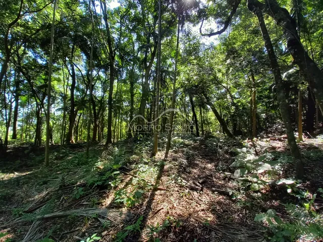 Área rural, foto 5