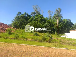 Paisagem externa com vegetação densa e estrada de terra.