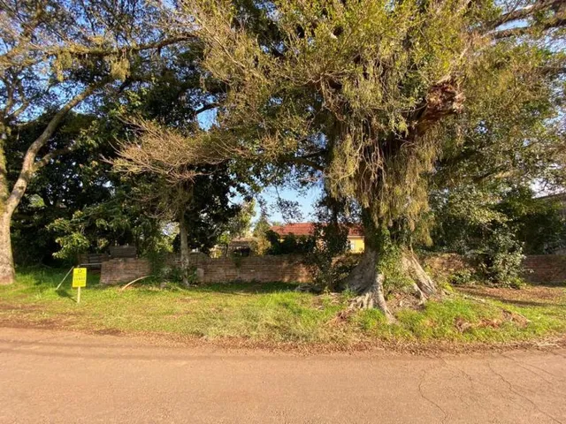 Terreno, foto 3