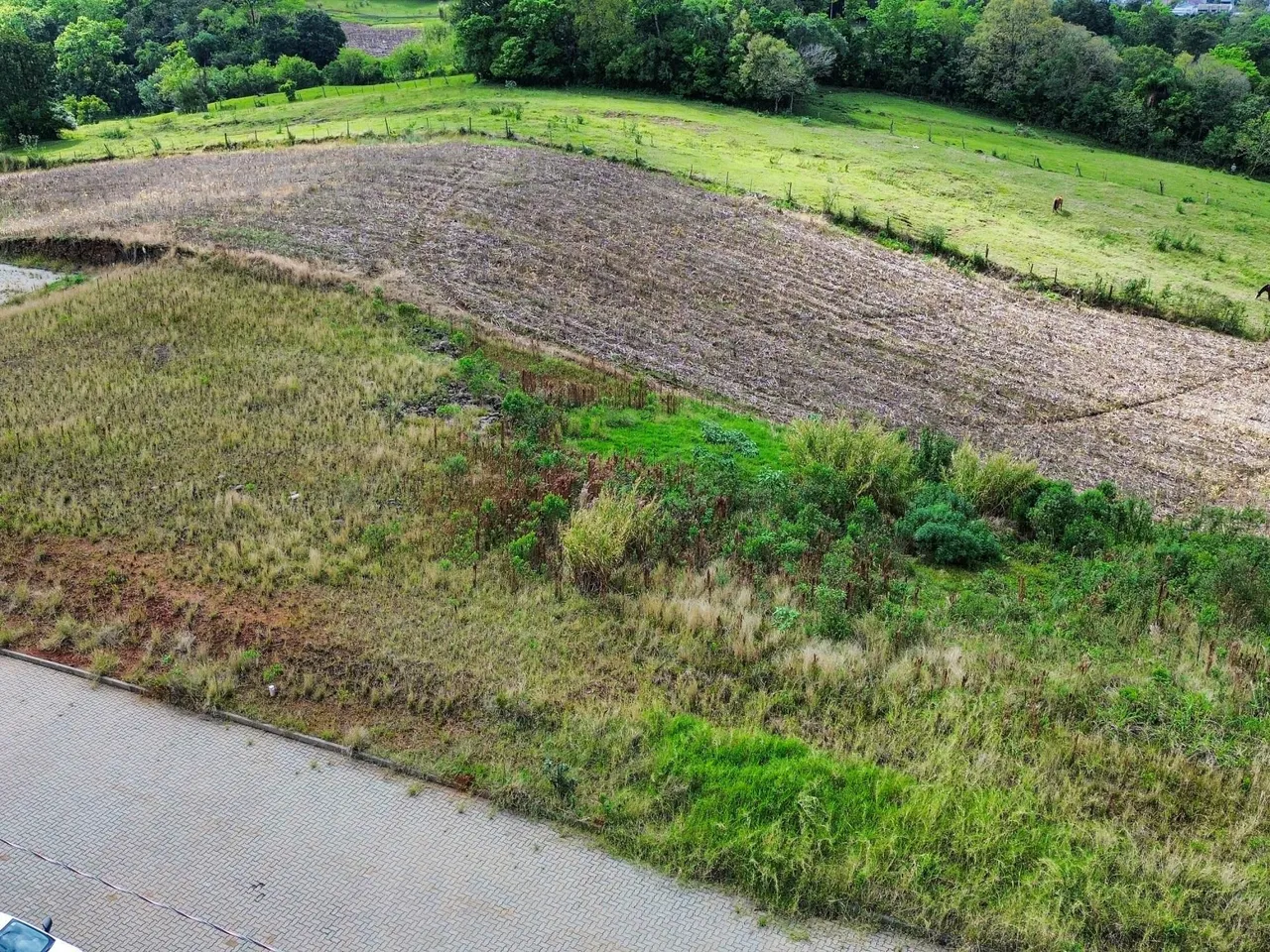 Terreno, foto 1