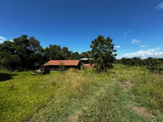 Vista externa de uma propriedade com vegetação densa e árvores ao fundo.