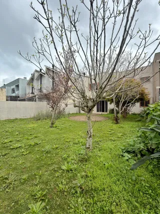 Casa com 3 dormitórios, foto 19