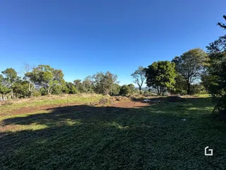 Vista da paisagem exterior com vegetação e árvores em Lajeado.