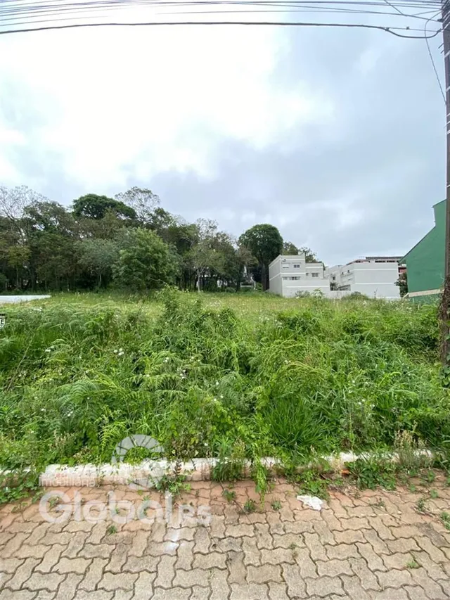 Vista externa de um terreno com vegetação densa em Lajeado, Brasil.