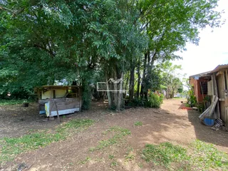 Terreno, foto 5