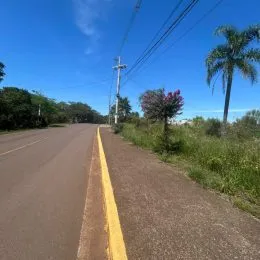 Vista de uma estrada rural com vegetação ao longo da via.