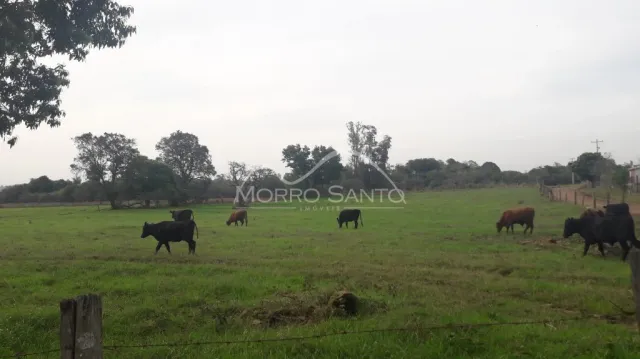 Vista de um campo aberto com vegetação e gado em Lajeado, Brasil.