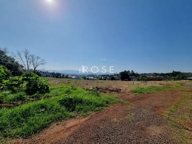 Terreno, foto 5