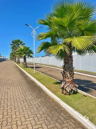 Vista da fachada de uma rua com palmeiras e gramado.
