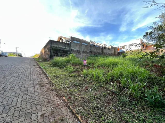 Terreno, foto 3