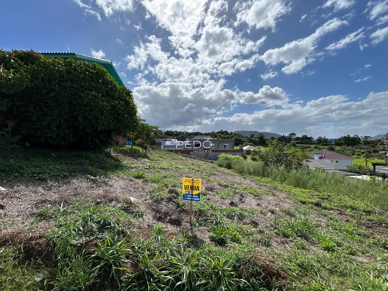 Vista externa de uma propriedade com vegetação no primeiro plano.
