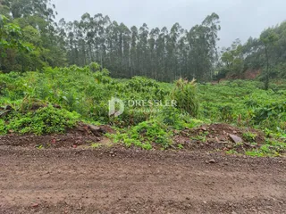 Área rural, foto 5