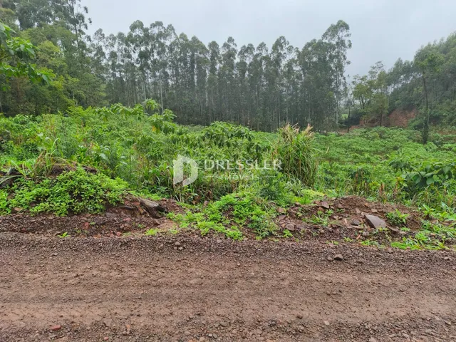 Área rural, foto 5