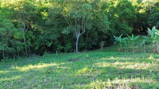 Vista de um campo gramado com vegetação densa e bananeiras ao fundo.