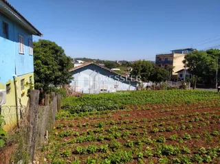Terreno, foto 1