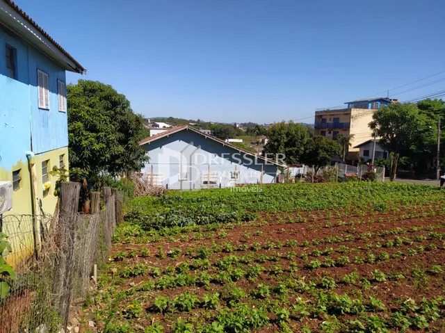 Vista de uma área de cultivo com vegetação no exterior de uma propriedade.