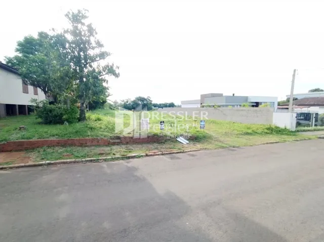 Vista externa de um terreno com vegetação e muro de divisa.