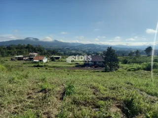 Paisagem de campo com vegetação rasteira e colinas ao fundo.