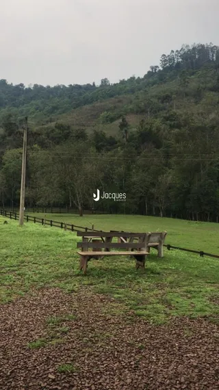 Área rural com 4 dormitórios, foto 6