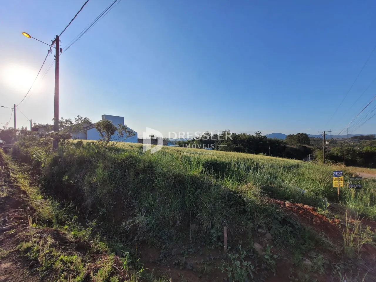 Terreno, foto 1