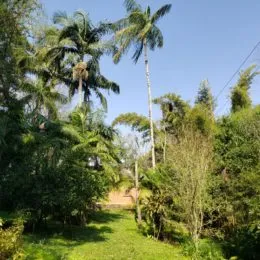 Área rural, foto 10