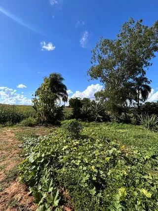Área rural com 2 dormitórios, foto 16