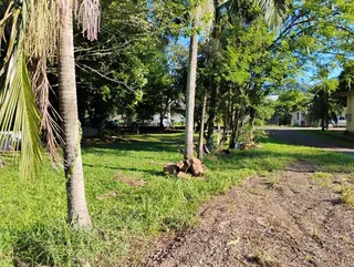 Terreno, foto 5