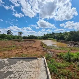 Terreno, foto 12