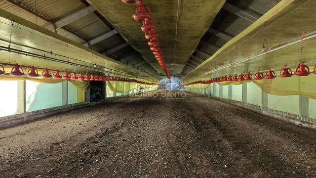 Foto de um espaço amplo e industrial com piso de terra e estrutura de teto exposta.