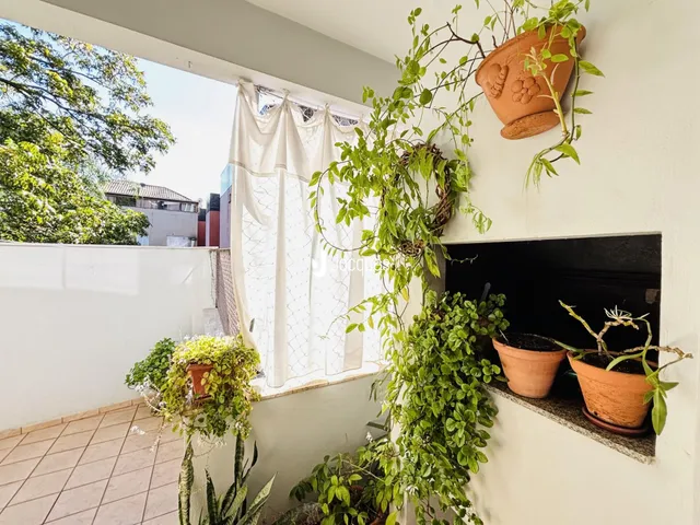 Vista da parede interna com plantas e uma abertura para o exterior.