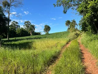 Área rural, foto 7