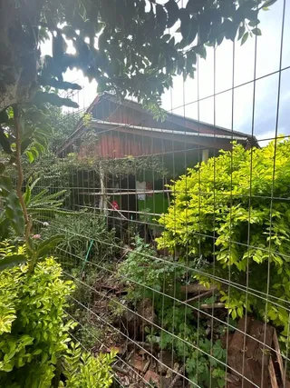 Casa com 3 dormitórios, foto 2