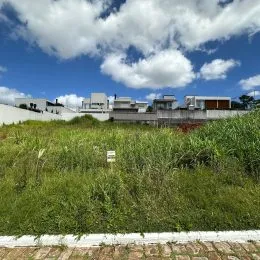 Foto de uma área externa com vegetação alta e grama densa.