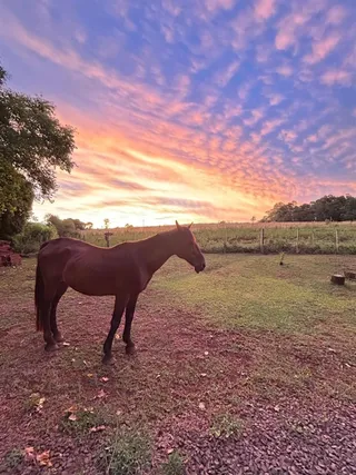 Área rural com 3 dormitórios, foto 16