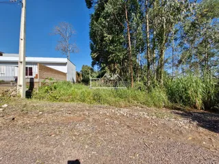 Terreno, foto 3