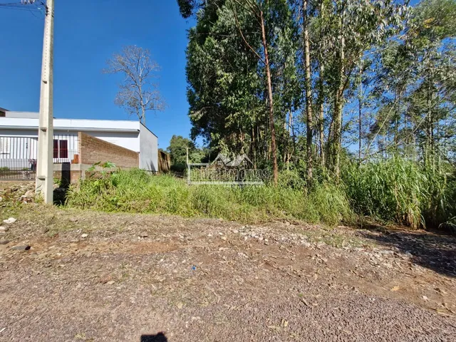 Terreno, foto 3
