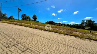 Vista da estrada e da vegetação ao lado da propriedade em Lajeado.
