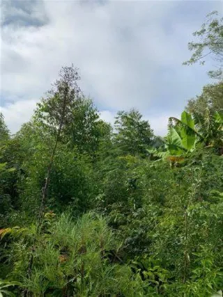 Área rural, foto 3