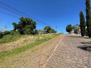 Vista da rua e vegetação ao lado de uma propriedade em Lajeado, Brasil.