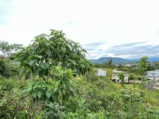 Terreno, foto 4
