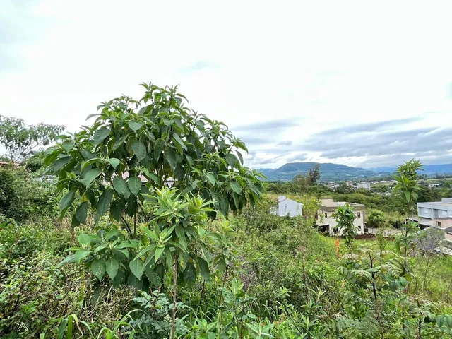 Terreno, foto 4