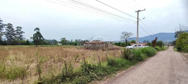 Paisagem rural com vegetação seca ao longo de uma estrada de terra.
