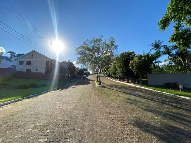 Terreno, foto 5