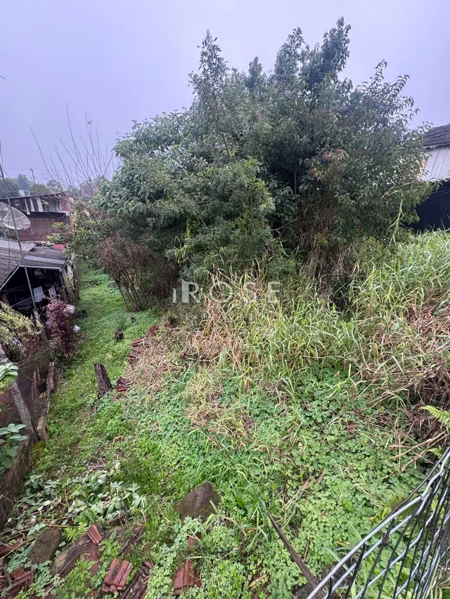 Terreno, foto 3