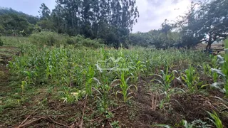 Área rural, foto 21