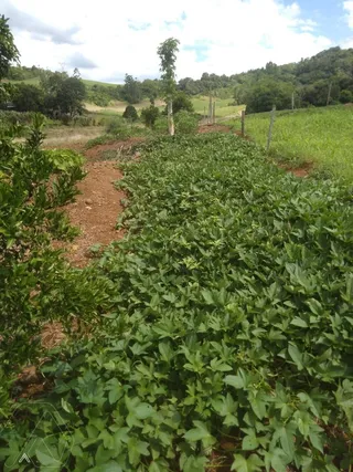 Área rural com 2 dormitórios, foto 6