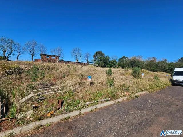 Terreno, foto 2